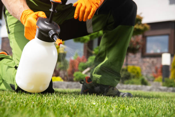 Best Pest Prevention Services  in Amherst, TX
