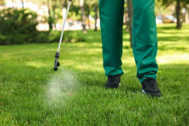 Best Pest Inspection Near Me  in Amherst, TX