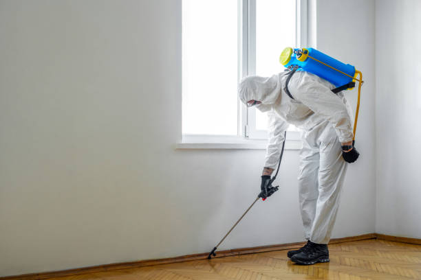 Reliable Amherst, TX Pest Control Solutions