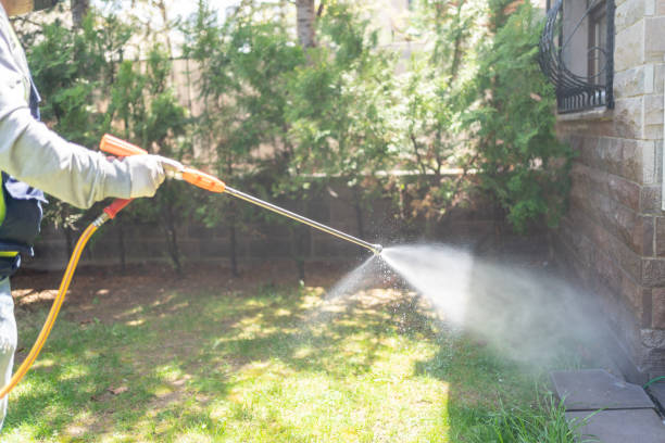 Wasp Removal Services in Amherst, TX
