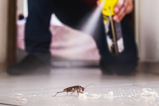 Trusted Amherst, TX Pest Control Experts