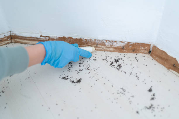 Best Best Pest Control Companies  in Amherst, TX